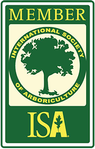 ISA Member logo